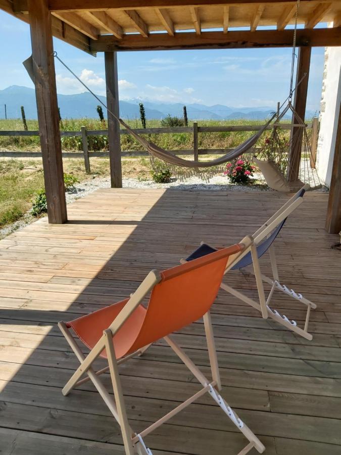 Maison Entouree D Animaux En Pleine Campagne