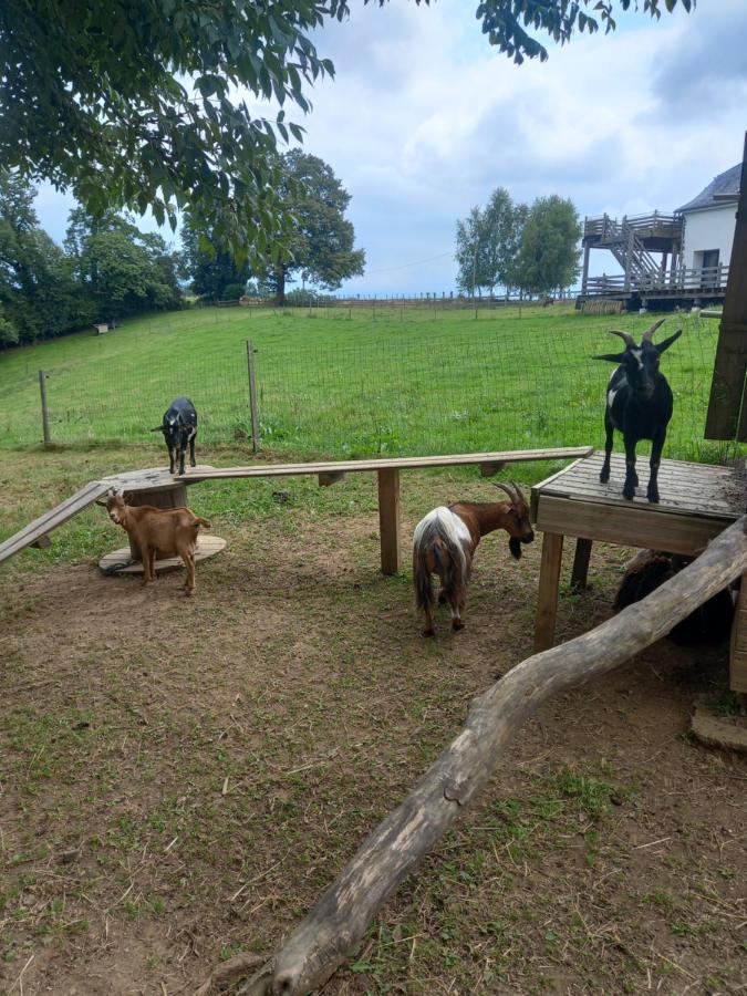Maison Entouree D Animaux En Pleine Campagne Villa *